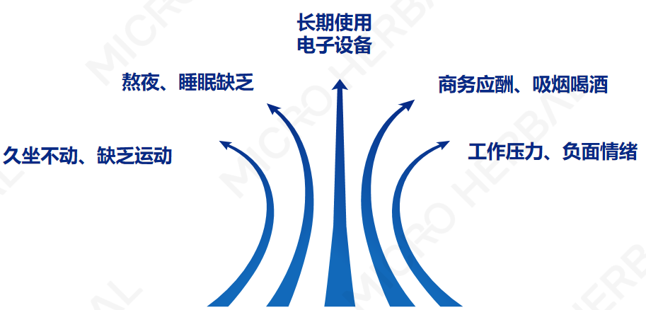 永乐高·(中国区)官方网站