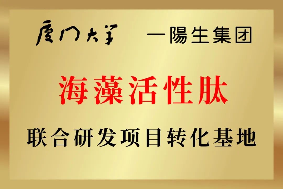 永乐高·(中国区)官方网站