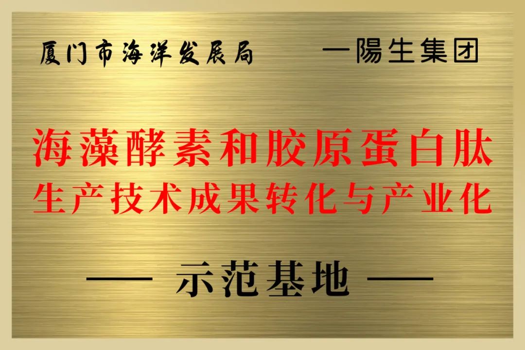 永乐高·(中国区)官方网站