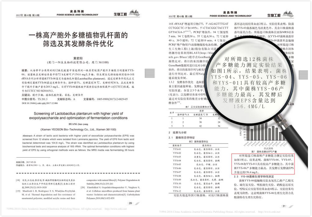 永乐高焦点专利菌种（YYS-06）相关文献收录于重量级期刊《食物